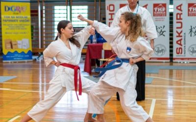 Tekmovanje Tradicionalne Karate Federacije Slovenije